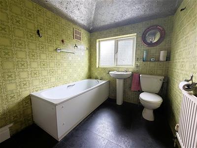 Picture 7